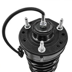 Front Shock Absorber Strut Assembly (Loaded)